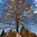 ���������� �������, ���� ����� Luka, 24 ����, ������������ ��� ������, ����� � ���������