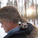 ���������� ������, ���� ������� ������, 57 ���, ������������ ��� ������, ����� � ���������, c�������� ���������