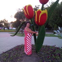 ���������� ������, ���� ������� �����, 55 ���, ������������ ��� ������, ����� � ���������, c�������� ���������