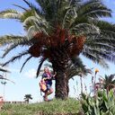 ���������� ����, ���� ������� �����, 44 ����, ������������ ��� ������, ����� � ���������, c�������� ���������