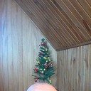  ,   , 54 ,   ,   , c 