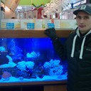  ,   , 51 ,   