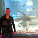 ���������� ������, ���� ������� ������, 41 ���, ������������ ��� ������, ����� � ���������, c�������� ���������