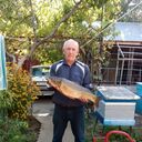  ,   , 67 ,   ,   