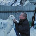 ���������� ������, ���� ������� �����, 37 ���, ������������ ��� ������, ����� � ���������, c�������� ���������