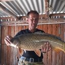  ,   , 54 ,   c 
