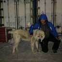  ,   Artem, 41 ,   ,   , c 