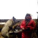 ���������� ���������, ���� ������� �������, 68 ���, ������������ ��� ������, ����� � ���������, c�������� ���������