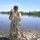 ���������� �����������, ���� ������� �������, 51 ���, ������������ ��� ����� � ���������, c�������� ���������