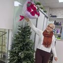 ���������� ���������, ���� ������� ������, 63 ����, ������������ ��� ����� � ���������, c�������� ���������