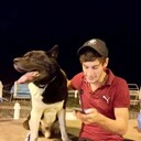 ���������� ����, ���� ������� ����, 29 ���, ������������ ��� ������, ����� � ���������