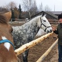 ���������� ������, ���� ������� �����, 47 ���, ������������ ��� ������, ����� � ���������, c�������� ���������