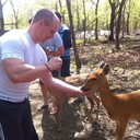 ���������� ������, ���� ������� ������, 46 ���, ������������ ��� ������, ����� � ���������