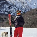 ���������� �����������, ���� ������� �����, 46 ���, ������������ ��� c�������� ���������, ���������