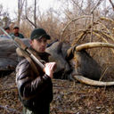 ���������� ���������, ���� ������� ����������, 43 ����, ������������ ��� ������, ����� � ���������, c�������� ���������