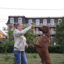 ���������� ������, ���� ������� �������, 47 ���, ������������ ��� ����� � ���������, c�������� ���������