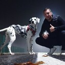 ���������� ������, ���� ������� �������, 32 ����, ������������ ��� ������, ����� � ���������, c�������� ���������, ���������