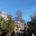  ,   , 49 ,   ,   , c , 