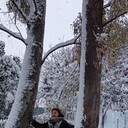  ,   , 65 ,   ,   