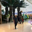  ,   Firuz, 50 ,  