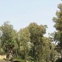  ,   , 60 ,     , c 