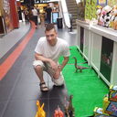 ���������� ������, ���� ������� ������, 43 ����, ������������ ��� ������, ����� � ���������, c�������� ���������