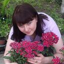  ,   , 38 ,     , c , 