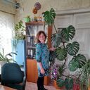  ,   , 55 ,   ,   