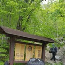 ���������� �����������, ���� ������� �����, 50 ���, ������������ ��� ������, ����� � ���������, c�������� ���������