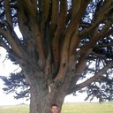  ,   , 45 ,   ,   , c 