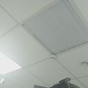 ���������� ������, ���� ������� �������, 33 ����, ������������ ��� ������, ����� � ���������