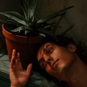 ���������� ����, ���� ����� �����, 25 ���, ������������ ��� ������, ����� � ���������