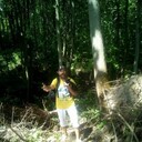  ,   , 60 ,   ,   
