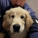 ���������� ���������, ���� ������� ������, 51 ���, ������������ ��� ������, ����� � ���������