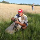 ���������� �������, ���� ������� �������, 50 ���, ������������ ��� ������, ����� � ���������, c�������� ���������, ���������