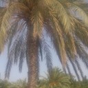 ���������� ������, ���� ������� �������, 124 ����, ������������ ��� ������, ����� � ���������, c�������� ���������