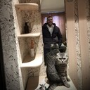 ���������� ����������, ���� ������� �����, 28 ���, ������������ ��� ������, ����� � ���������