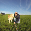 ���������� ������, ���� ������� ���������, 44 ����, ������������ ��� ������, ����� � ���������, c�������� ���������