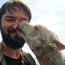 ���������� ����, ���� ������� �������, 33 ����, ������������ ��� ������, ����� � ���������, c�������� ���������, ���������