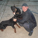 ���������� ����, ���� ������� ������, 43 ����, ������������ ��� ������, ����� � ���������, c�������� ���������