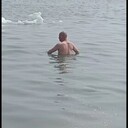 ���������� ���������, ���� ������� �������, 36 ���, ������������ ��� ����� � ���������, c�������� ���������, ���������