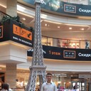 ���������� ����������, ���� ������� �����, 41 ���, ������������ 