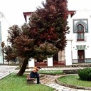  ,   , 26 ,   ,   , c 