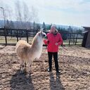 ���������� ������, ���� ������� ������, 39 ���, ������������ ��� ����� � ���������, c�������� ���������