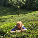  ,   , 65 ,   ,   , c 