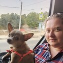 ���������� ����, ���� ������� ��������, 35 ���, ������������ ��� c�������� ���������, ���������