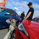 ���������� ������, ���� ������� ����, 40 ���, ������������ ��� ������, ����� � ���������, c�������� ���������