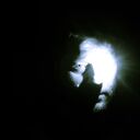 ���������� �����-���������, ���� ������� �����, 47 ���, ������������ ��� ������, ����� � ���������, c�������� ���������