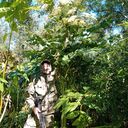 ���������� �����������, ���� ������� ����, 45 ���, ������������ ��� ������, ����� � ���������