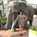 ���������� ������������, ���� ������� �����, 51 ���, ������������ ��� ������, ����� � ���������, c�������� ���������